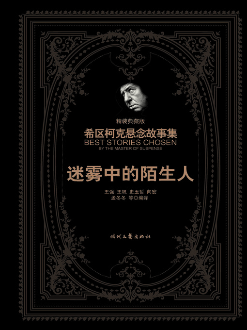 Title details for 迷雾中的陌生人（精装典藏版） by 王强 - Available